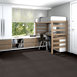 STEP-ON-IT-54587-MOVE-ALONG-87504-room-image